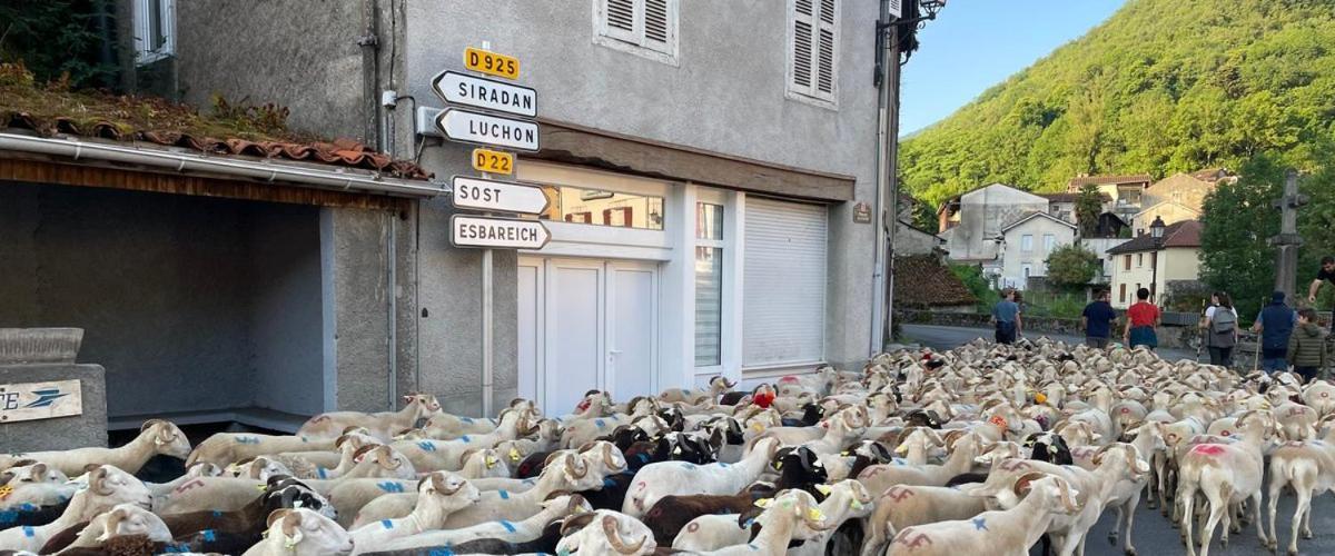 Petit Village Authentique Mauléon-Barousse Esterno foto